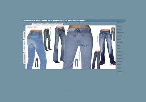 Denim - Research campaign 2003